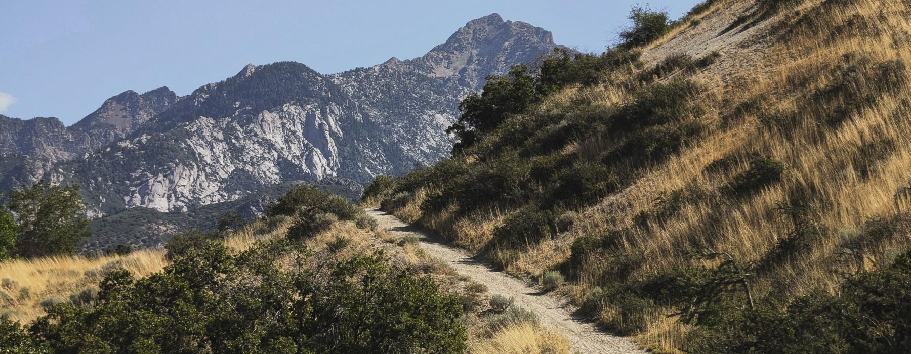 a dirt road in the mountains