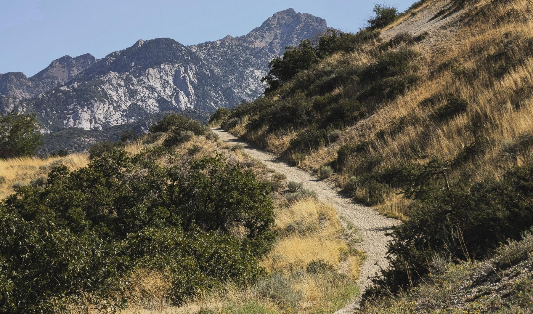 a dirt road in the mountains